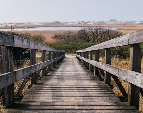 Pathway to Nature